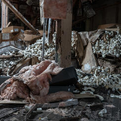 Site of the Former Shoe Company, De Soto, Missouri, 2017