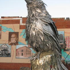 Vainglorious Bluebird