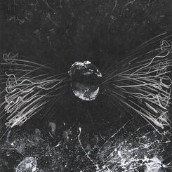 The Roar of the Crowd 