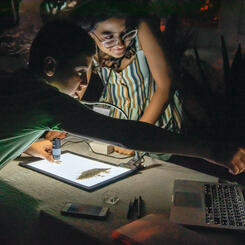 discovering the details