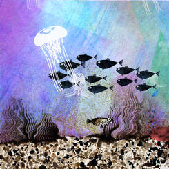 Projected Aquaculture 