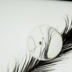 Messy Conversation - detail