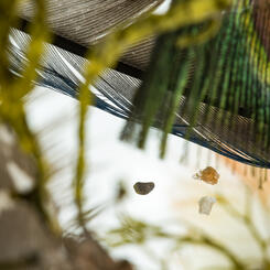 Uncanny Bodies - still