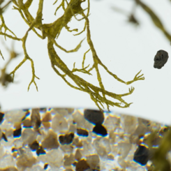 Uncanny Bodies - still