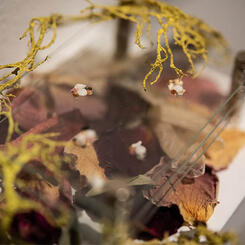 Uncanny Bodies - micro sculpture