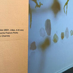 Uncanny Bodies - Gallery