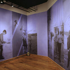 untitled installation.jpg