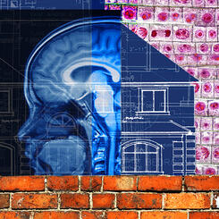 The Mindful Home (2020) 