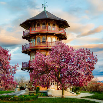 Pagoda in Spring, Baltimore City