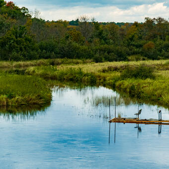 In far western Wisconsin an empty lawnchair invites a solitary fisherman.