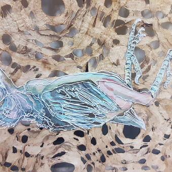 Contour Study I 