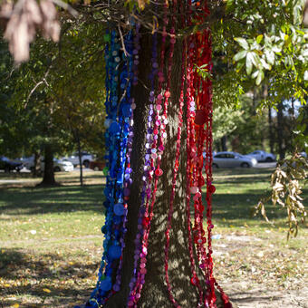 Bottle caps hanging from a tree 