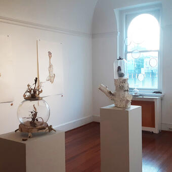 Installation view of Traumatized