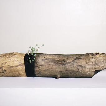 log with nylon stocking stretched over, brass wire with jade beads protruding, and red glass beads embedded