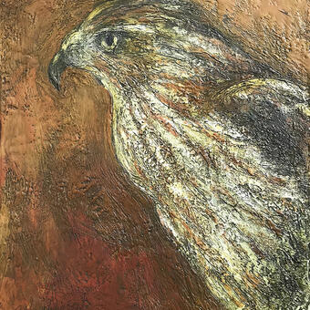 Encaustic painting - close up of Cooper's Hawk.