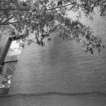 Black and white image of light and forms cast onro building wall.
