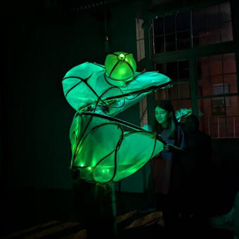 Glowing green lantern puppet in the shape of a giant chameleon head, with independent moving eyes, and color changing lights. 