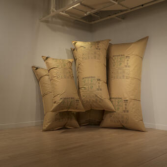 My installation explores the tensions between two cultures, China and the United States. Inspired by the feeling of being caught between these worlds, I use dunnage bags to represent cultural clashes. The installation creates a physical and metaphorical barrier, inviting viewers to contemplate the complexities of our globalized world.