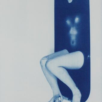 Bacta, 2023, 12x18, Cyanotype on paper