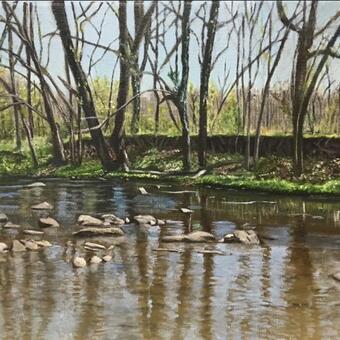river, rocks, tree branch