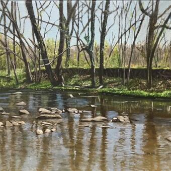 river, rocks, tree branch