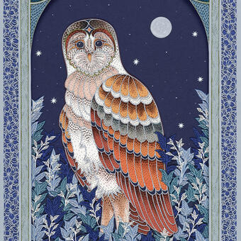 Clarity- Owl Papercut 