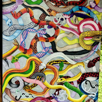 Colorful Snakes