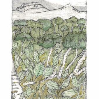 printmaking, drypoint, monoprint