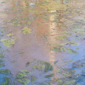 Abstracted image of the C&O canal. 