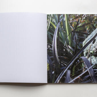 a book lays spread open on a white background. On the page on the right is a detail of a photograph of an icosahedorn sculpture nestled into blades of thick grass. The left page is white and contains publication information such as 