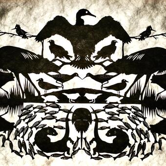 POPLAR ISLAND NATURE RESERVE