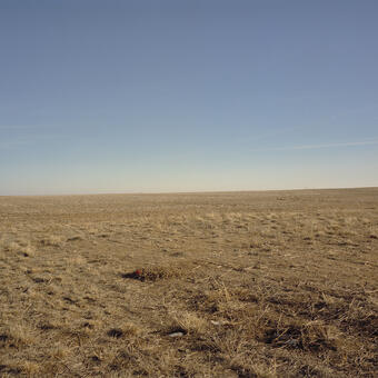 treeless prairie landscape