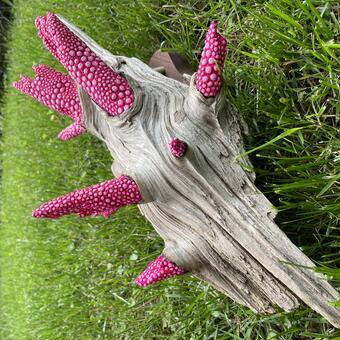 A large piece of driftwood with multiple branch stems carved with many intricate raised orbs painted bright pink to contrast the wood grain of the driftwood.