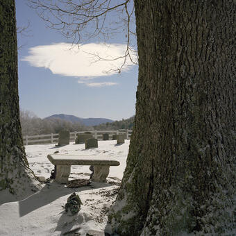 cemetery in a snowy landscape with two trees and a cloud overhead