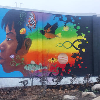 Mural on the brick exterior wall of a two story row home in the Broadway East neighborhood of Baltimore. The image features a young woman's profile followed by a colorful wave of nature imagery including flowers, an oriole, a lake trout, planets, a checkerspot butterfly, etc. all flowing together in a rainbow representing a stream of life.