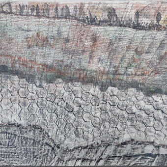 Large graphite drawing with rubbings of bathroom floor tile, wood grain of a door and step tread. The images of a row of trees, some on fire,  in the middle ground and background are layered over written text that covers the paper. 