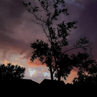 painting of a tree and roofline silhouetted against the sky