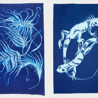 two cyanotype prints. One is of iguanas and the other of abstract palm leaves.
