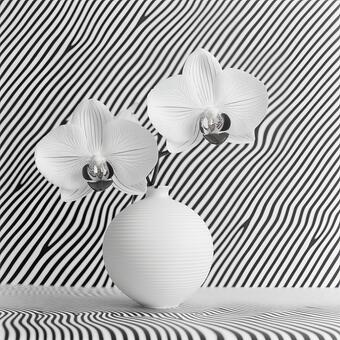 A simulated black and white photographic printed of white orchids in a texture vase, with an optical pattern in the background