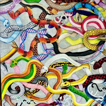  Snake Symbolism & Meaning | Spirit, Totem & Power AnimalThe spiritual meaning of snakes is multifaceted, representing a range of concepts like transformation, healing, and rebirth due to their skin-shedding ability. Snakes also symbolize feminine energy, life force, and wisdom 