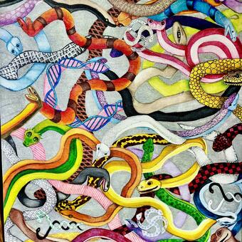  Snake Symbolism & Meaning | Spirit, Totem & Power AnimalThe spiritual meaning of snakes is multifaceted, representing a range of concepts like transformation, healing, and rebirth due to their skin-shedding ability. Snakes also symbolize feminine energy, life force, and wisdom 