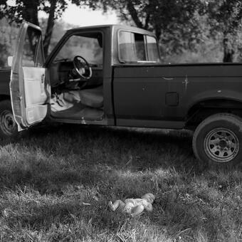 baby on grass in front of truck
