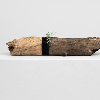 a log with jade and red glass beads and black nylon stretched over