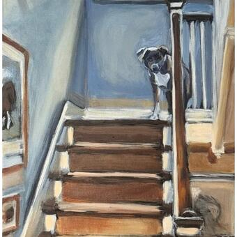 sunlit interior with a dog looking eagerly from the top of the stairs