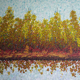 the shoreline of the Susquehanna