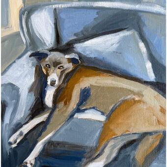 Dog splayed in luxurious comfort on a forbidden chair!