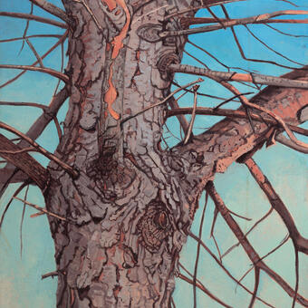 Painting of a tree trunk focusing on the texture of the bark. 