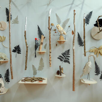installation shot of many paper sculpture woodland animals such as an owl, woodpecker, skunk, crow, porcupine, cardinal, snake, rabbit and chipmunk.