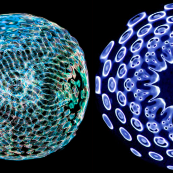 Biocymatic Frequency III (Marine Bioacoustics): "Vymatics" recorded & composed by Shodekeh at the Maryland Institute College of Art Sound Art program, visualized by Erica Hansen for "Voyages I" at the National Aquarium & the TU Planetarium, 2022 & 2023.