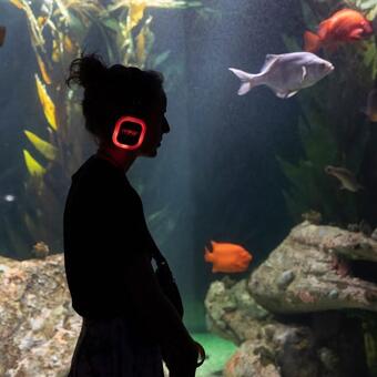 CULTURAL FIRST 0A: "Journey Into the Deep" by Connect Magazine (Sound Art as Research), featuring Shodekeh's pilot launch artist residency for "Voyages: Chapter 1" at the National Aquarium. Published by the Association of Zoos & Aquariums, October 2025.